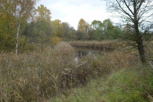 Možnost vykoupání :-)