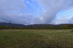 Krušky přes startovní louku (Ne)